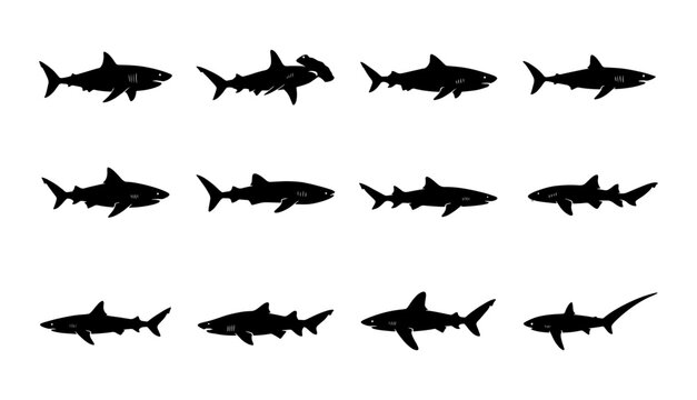 Shark Silhouettes Collection, Marine Life Icons, Ocean Predators Vector Set, Aquatic Animal Graphics