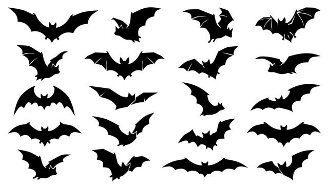 Halloween bat silhouette collection transparent background vector bundle