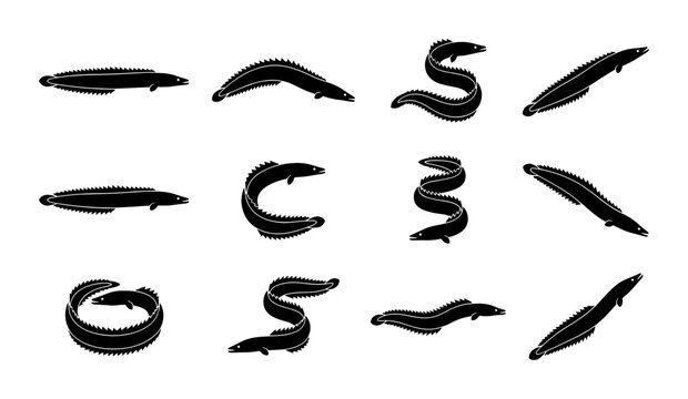 Black Eel Vector Icons Set, Marine Life Silhouettes, Underwater Creatures Collection, Aquatic Animal Graphics