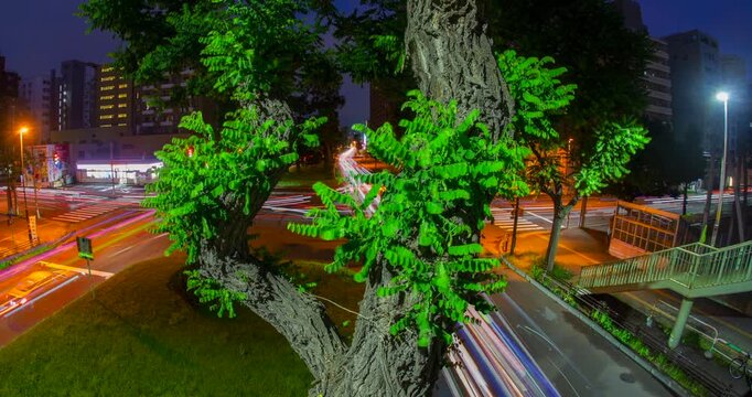 City Street Night Traffic Light Trails Timelapse: Urban Intersection with Large Foreground Tree Trunk and Overpass Bridge View - Wide Angle Shot