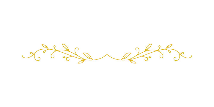Elegant golden floral divider isolated on transparent background