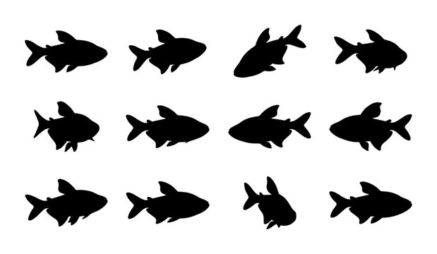 Set of 12 Black Fish Silhouettes, Aquatic Life Vector Icons, Marine Animal Shapes for Oceanography and Seafood Branding