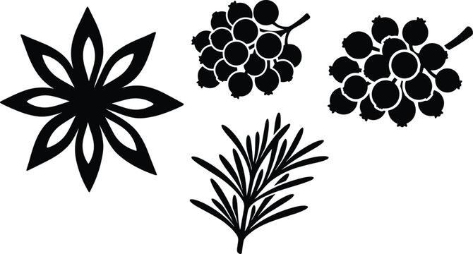 Black silhouette vector icon set featuring star anise, juniper berries, and fresh rosemary herb sprigs