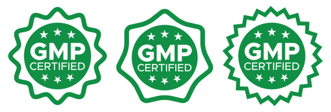 GMP Certified Badge Collection Green Quality Assurance Manufacturing Seal Vector Set