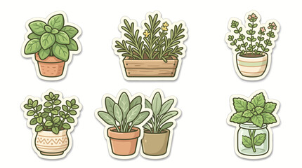 Fototapeta premium Vector Collection of Potted Green Herb Plants and Botanical Stickers