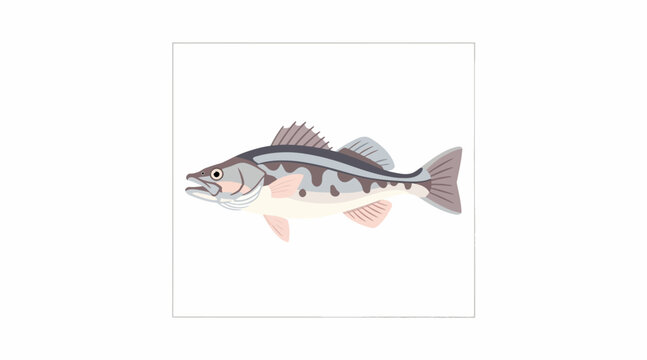 Walleye Fish Illustration - Freshwater Aquatic Creature