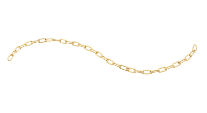 Elegant gold chain necklace with textured oval links on a white background