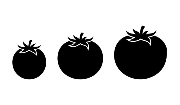 Tomato growth stages silhouette small medium and large tomato icons