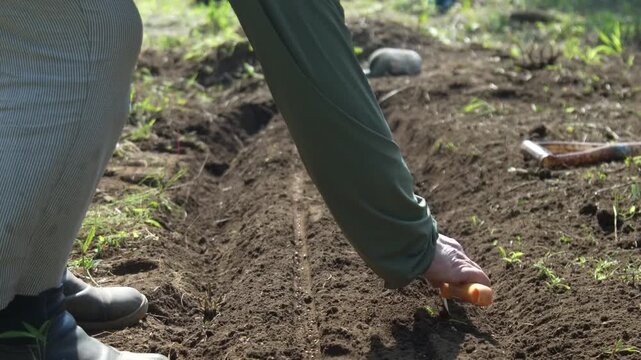 蒔いた種に土をかぶせる女性