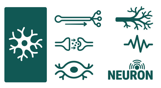 Minimal dark teal neuron icon set featuring axon, dendrite, synapse, signal, cell body, and nerve pulse symbols. Professional flat vector science clipart on white background.