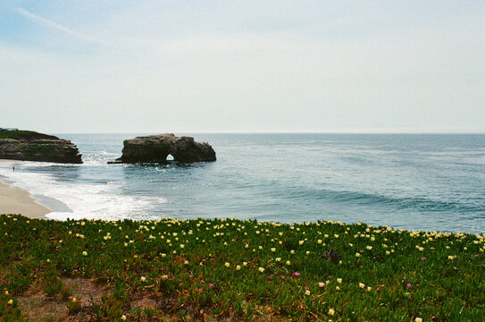 Scenic California coastline with a sea arch and flowers