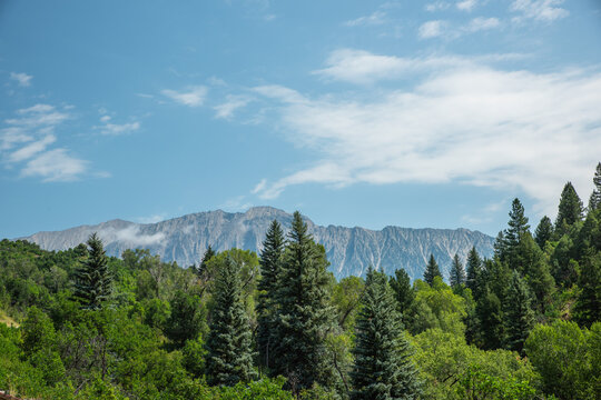Lush green forest below a majestic mountain