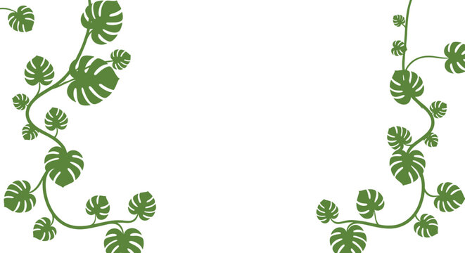 Elegant vertical borders made of green climbing vines and monstera leaves with blank central copy space on a white background.