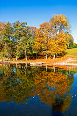 Fototapeta premium Autumn trees reflected on calm lake with wooden jetty