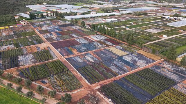 Colorful Farmland Revealing Controlled Field Burning in Schinias Greece