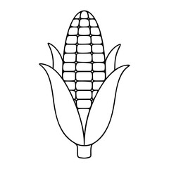 Obraz premium Geometric vector icon of ripe corn cob with protective husk leaves, minimalist line art illustration isolated on white background, scalable flat design element for food industry branding