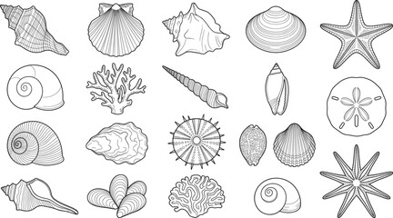 Hand Drawn Seashell and Marine Life Outline Collection with Ocean Shells Coral and Echinoderm Vector Set © MdHadiur