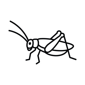 Illustration of a grasshopper in profile view.