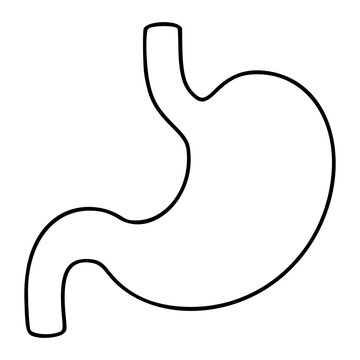 Minimalist vector icon of human stomach organ, hand-drawn outline style, isolated on white background, digestive system anatomy symbol, medical healthcare illustration, clean scalable graphic design