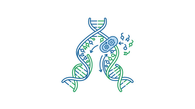 DNA Replication and Molecular Genetic Engineering Process