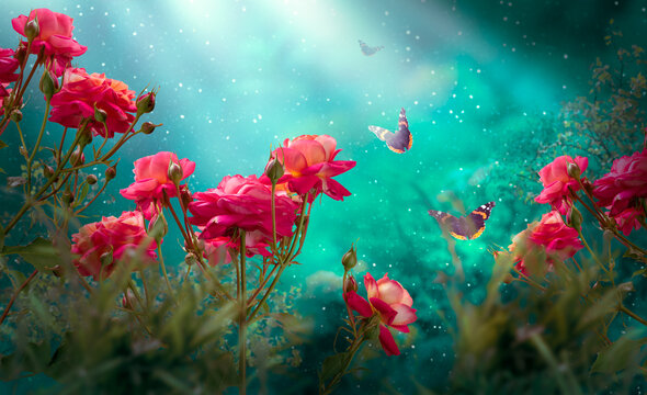 Fantasy rose flowers and flying butterflies in magical blooming garden in fairy tale forest, fairytale glade background, quiet magic landscape with shining glowing dawn rays, tranquil morning scene.