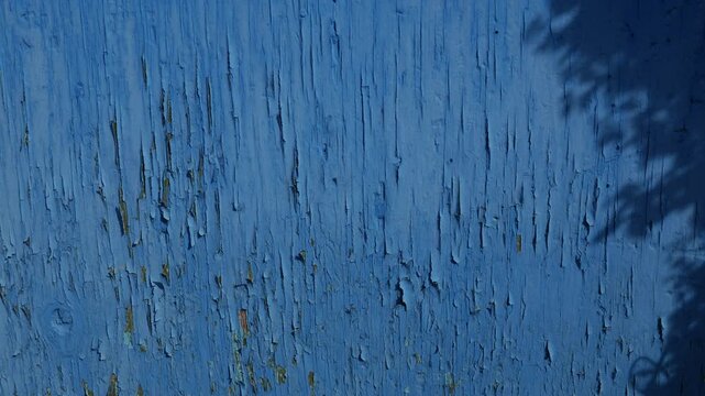 Peeling Blue Paint on Old Weathered Wooden Planks, Rustic Vintage Grunge Wood Texture 