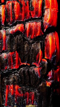 Glowing embers on charred wood. Close-up burning black wood with bright orange red glowing cracks, time-lapse motion. Ideal for fire, dramatic and abstract backgrounds.	
