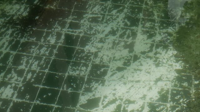 Abandoned Dirty Swimming Pool with Green Algae and Dark Mosaic Tiles, Urban Decay Neglected Outdoor 