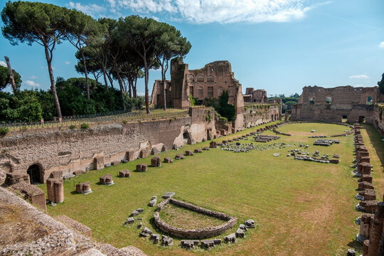 Scenic high angle view of the ancient Stadium of Domitian ruins surrounded by tall pine trees on Palatine Hill in Rome, Italy