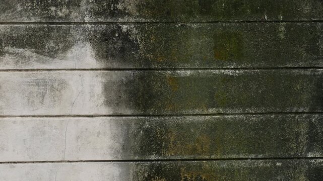 Weathered Concrete Wall with Green Moss and Black Mold on Horizontal Plank Lines, Tropical Urban Decay 