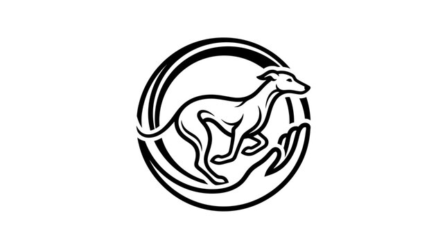 Running sighthound in circular motion frame with hand.