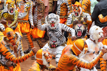 Tiger dance performers in vibrant tiger body paint and elaborate masks parade during the Onam festival in Thrissur, Kerala, India, celebrating a renowned traditional folk art © AJay