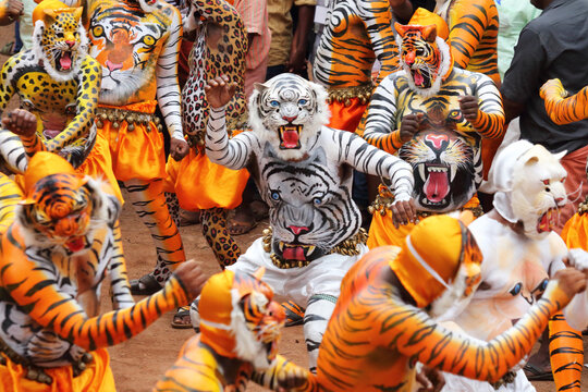 Tiger dance performers in vibrant tiger body paint and elaborate masks parade during the Onam festival in Thrissur, Kerala, India, celebrating a renowned traditional folk art