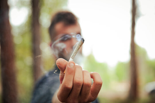 Man with marijuana joint in forest