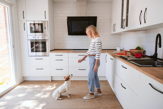 Woman feeding cute dog in domestic kitchen