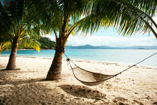 Philippines, Palawan, hammock and palms on a beach near El Nido