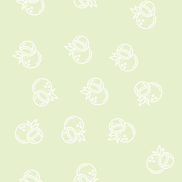 coconut exotic nut vector line seamless pattern coconut exotic nut sign illustration