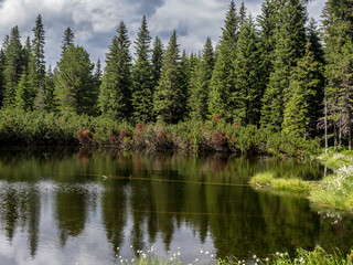 A scenic landscape view of The Tarn Among the Firs ( Taul dintre Brazi ), a serene mountain lake in the Retezat Mountains, Romania, showcasing the perfect reflection of a dense coniferous forest © paulmalaianu