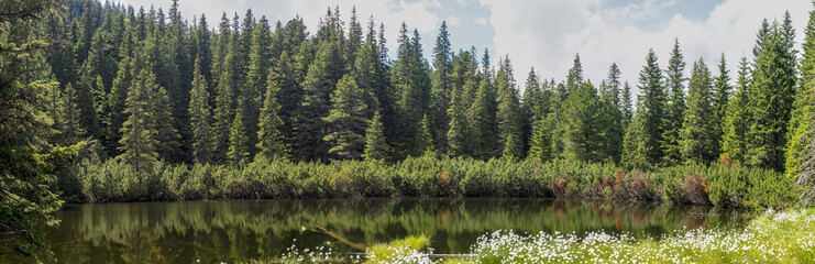 A panoramic view of Taul dintre Brazi (The Lake Among the Firs), a serene alpine tarn surrounded by a dense, lush coniferous forest in the Retezat Mountains, Romania © paulmalaianu