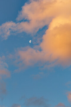 Half moon in sky framed by sunset clouds