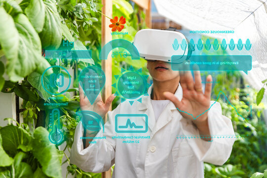 Female scientist in lab coat analyzes hologram in a greenhouse