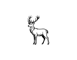 Fototapeta premium deer