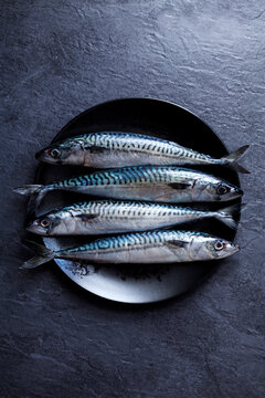 Plate with four sardines on slate
