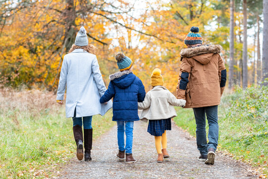 Children holding hands of parents while walking on forest path
