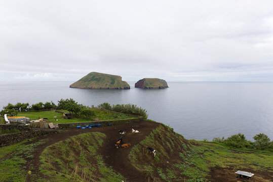 Terceira island farm overlooking cabras islets in atlantic ocean