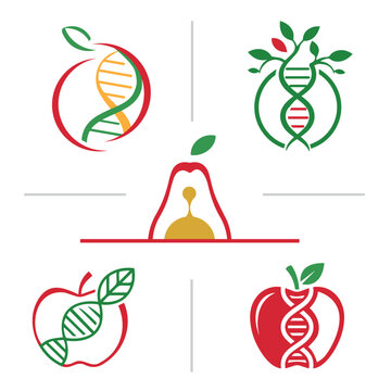 Personalized Nutrition and Wellness Logo Set, Nutrigenomics Concept