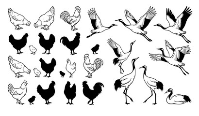 Obraz premium Farm Poultry and Wild Crane Bird Silhouette Set Featuring Chickens, Roosters, Chicks, and Storks for Agricultural Branding and Nature Graphic Designs
