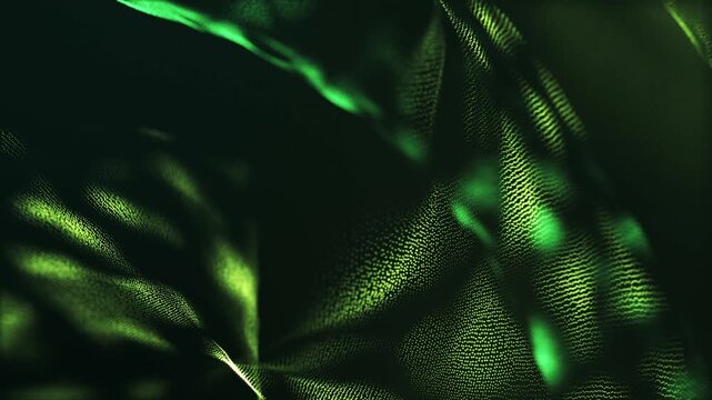 Canopy light rays filtering organic particle foliage video loop