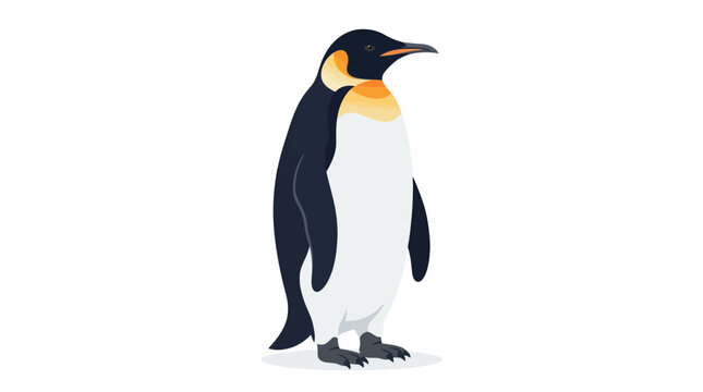 Emperor penguin bird standing illustration