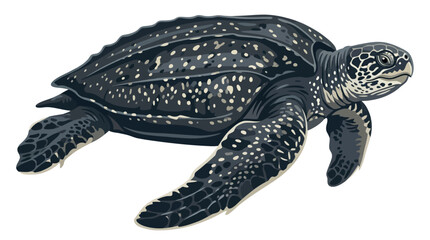 A detailed illustration of a leatherback sea turtle swimming © IFFA